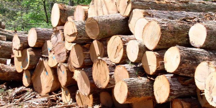 Правовий нігілізм місцевих рад доведе гірські громади Буковини за межу депресивності і бідності 1 Громади Буковини налаштовані домогтися передачі у комунальну власність лісів