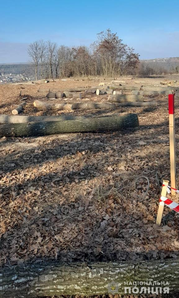 Будівництва посадково-злітного майданчика для малої авіації поблизу елітного відпочинкового комплексу Услад