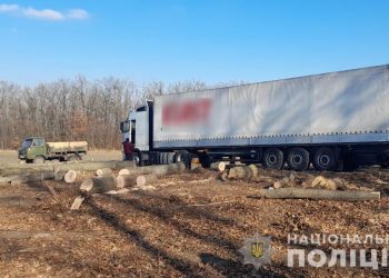 хто спиляв сотні дерев на березі Дністра у Ломачинцях