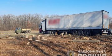 Журналістка Світлана Ісаченко дізналася, хто спиляв сотні дерев на березі Дністра у Ломачинцях 5 хто спиляв сотні дерев на березі Дністра у Ломачинцях