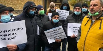 Лісозавал: гра у вибивання 6 Хто врятує лісове господарство в країні?