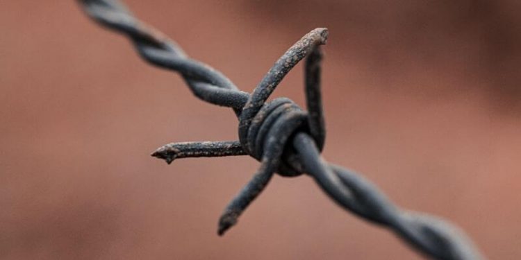 Жорстока правда із-за ґрат 1 Запобігання катуванням та нелюдському чи принизливому поводженню або покаранню