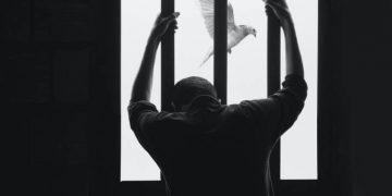 Кому поможет Закон №6104 о социально-правовой защите пленных и их семей 4 Кому поможет Закон №6104 о социально-правовой защите пленных и их семей