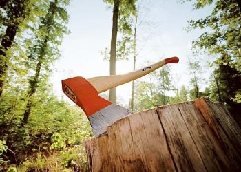 Схоже, Буковина стала для інших областей пілотним проектом