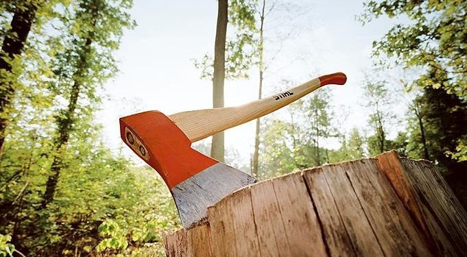 Схоже, Буковина стала для інших областей пілотним проектом